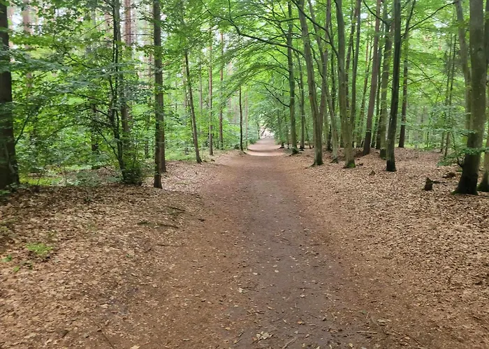 Mt2 Bursztynowe Osiedle *