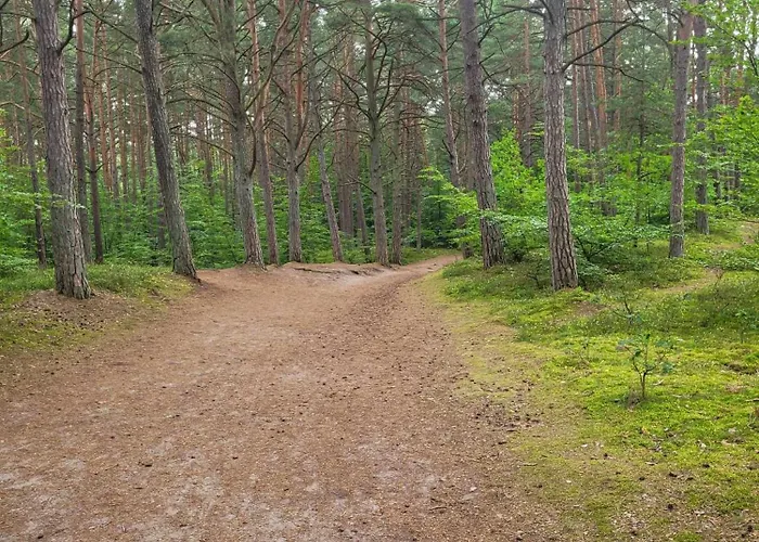 Mt2 Bursztynowe Osiedle يانتار