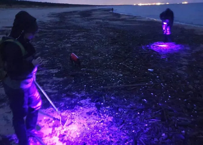 Mt2 Bursztynowe Osiedle شقة